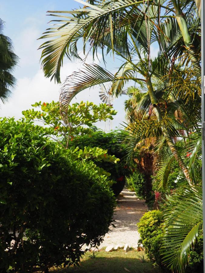 Kas Di Bami A-186 Op Seru Coral Resort - Ruim Appartement Met Groot Zwembad En Tropische Tuin 威廉斯塔德 外观 照片